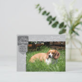 Silver Tab und Schnörkel Weihnachts-Foto Postkarte (Stehend Vorderseite)