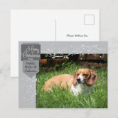 Silver Tab und Schnörkel Weihnachts-Foto Postkarte (Vorne/Hinten)