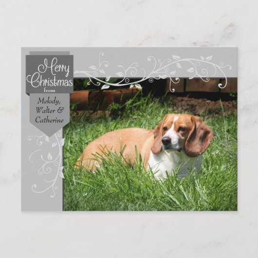 Silver Tab und Schnörkel Weihnachts-Foto Postkarte (Vorderseite)