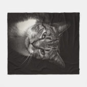 SILVER TABBY CAT FLEECEDECKE (Vorderseite (Horizontal))