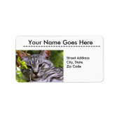 Silver Tabby Cat Head Address Labels Adressaufkleber (Vorne)