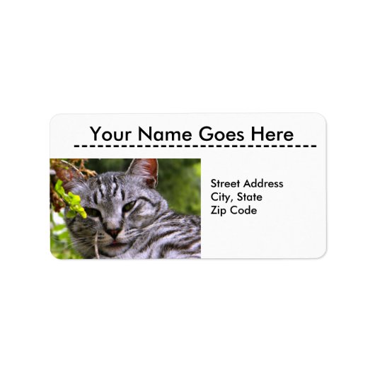 Silver Tabby Cat Head Address Labels Adressaufkleber (Vorne)