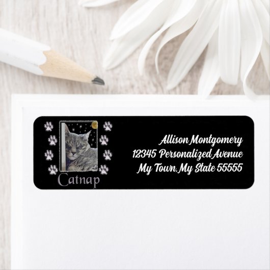 Silver Tabby Cat Lover Catnap - Adresse (Insitu)