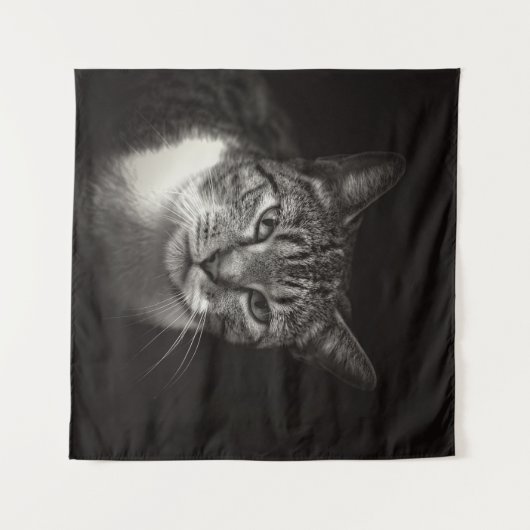 SILVER TABBY CAT WANDTEPPICH (Vorderseite (Horizontal))