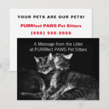 Silver Tabby Cats Pet Sitter Handout