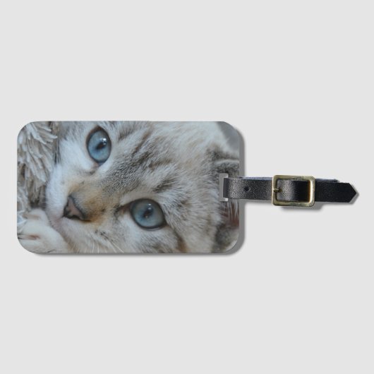 Silver Tabby Siamese Gepäckanhänger (Vorderseite (Horizontal))