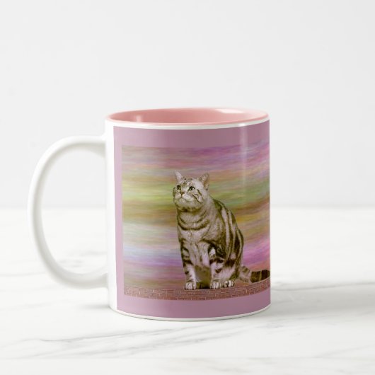 Silver Tabby Zweifarbige Tasse (Links)