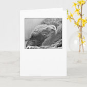 Silver the Cat Greeting Card Karte (Gelbe Blume)