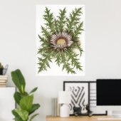 Silver Thistle — Sue Abonyi Poster (Heimbüro)