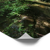 Silver Thread Falls Poster (Ecke)