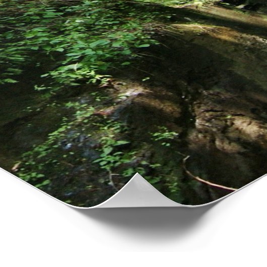 Silver Thread Falls Poster (Ecke)