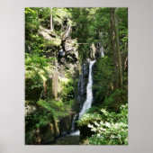 Silver Thread Falls Poster (Vorne)