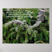 Silver Tip Fir Tree Isaiah 41:10 Print Poster (Vorne)