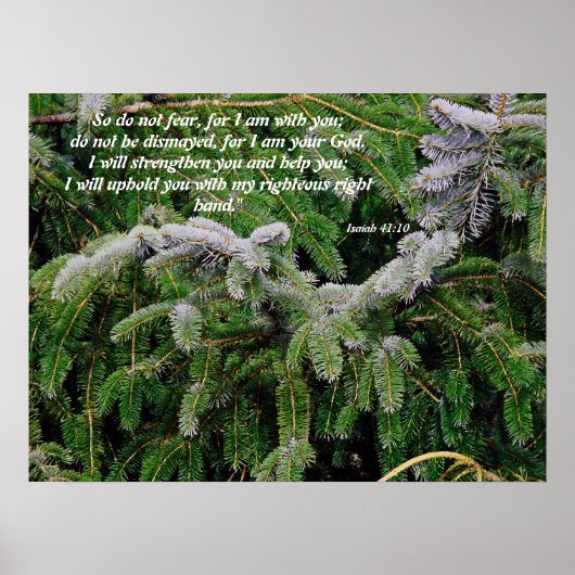 Silver Tip Fir Tree Isaiah 41:10 Print Poster (Vorne)
