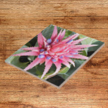 Silver Vase Pflanze Bloom Floral