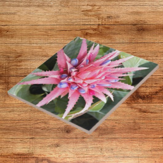 Silver Vase Pflanze Bloom Floral Fliese