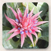 Silver Vase Pflanze Bloom Floral Getränkeuntersetzer (Vorderseite)