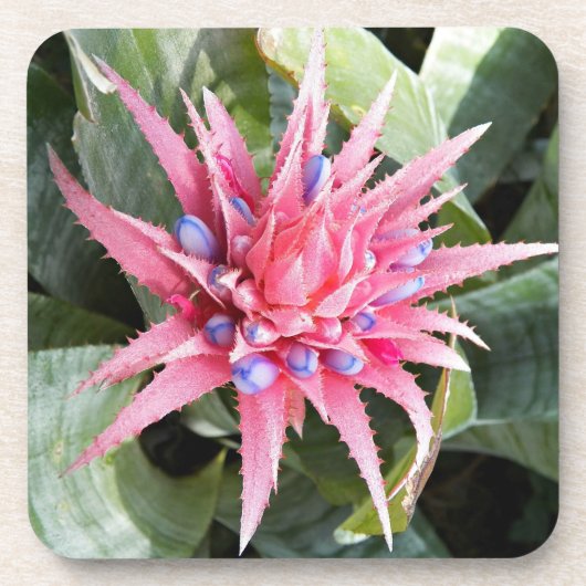 Silver Vase Pflanze Bloom Floral Getränkeuntersetzer (Vorderseite)