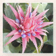 Silver Vase Pflanze Bloom Floral