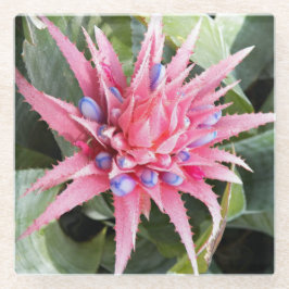 Silver Vase Pflanze Bloom Floral Glasuntersetzer