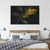 Silver Wattle Blume Leinwanddruck (Insitu (Schlafzimmer))
