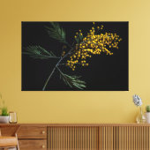 Silver Wattle Blume Leinwanddruck (Insitu (Wohnzimmer))