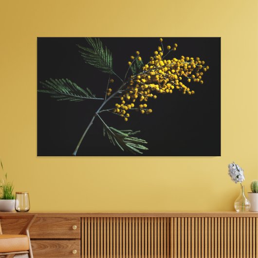 Silver Wattle Blume Leinwanddruck (Insitu (Wohnzimmer))