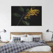 Silver Wattle Blume Leinwanddruck (Insitu (Schlafzimmer))