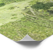 Silver White Willow, 1904 Poster (Ecke)