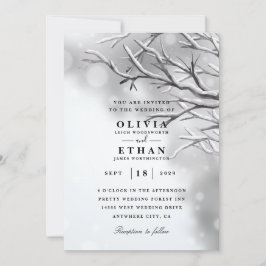 Silver Winter Hochzeit Einladungen