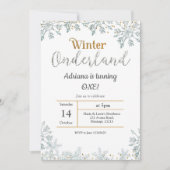 Silver Winter Onederland Einladung zum Geburtstag (Vorderseite)