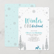 Silver Winter onederland Junge 1. Geburtstag Party