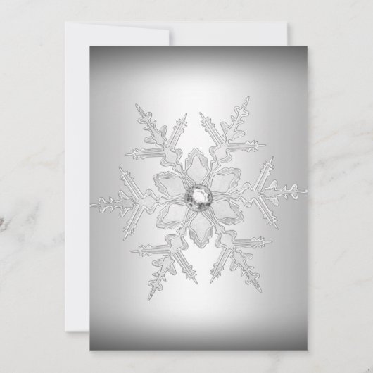 Silver Winter Wonderland Pink Quinceanera Party Einladung (Rückseite)