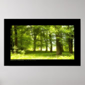 Silver Wood Poster (Vorne)