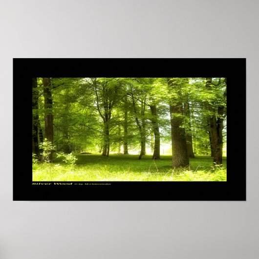 Silver Wood Poster (Vorne)
