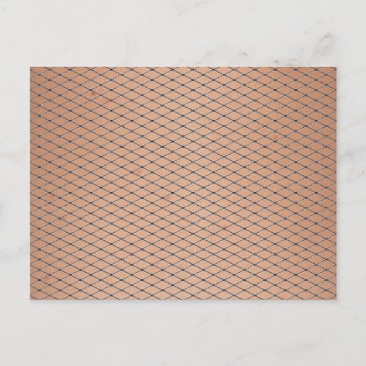 Silver Woven Fishnets mit Skin Textur Postkarte (Vorderseite)