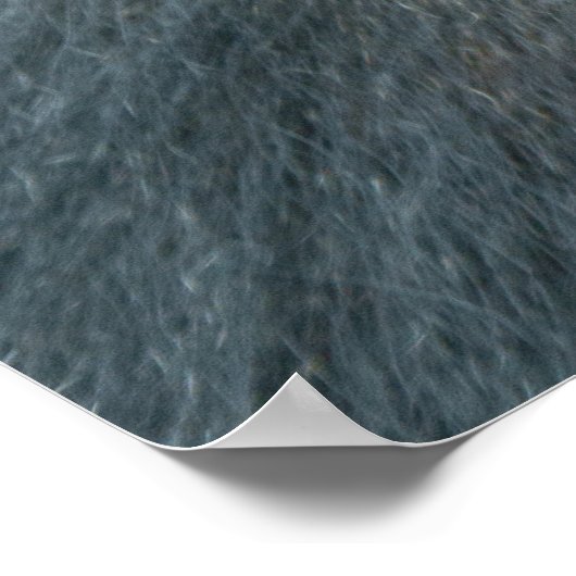 Silverback Dishi Poster (Ecke)