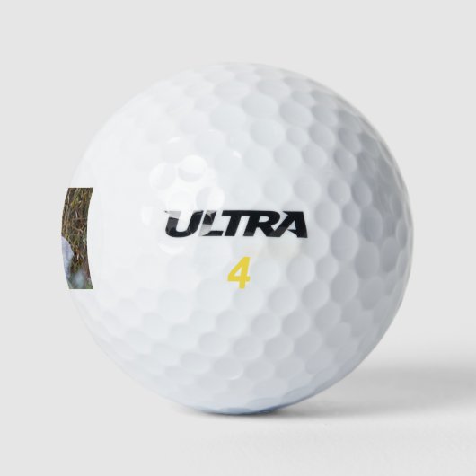 Silverback Golfball (Logo)