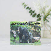 Silverback Gorilla # 1 Postkarte (Stehend Vorderseite)