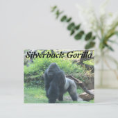 Silverback Gorilla # 2 Postkarte (Stehend Vorderseite)