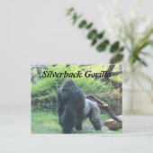 Silverback Gorilla # 4 Postkarte (Stehend Vorderseite)