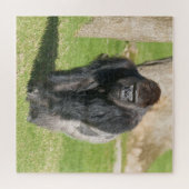 Silverback Gorilla – A Moment of Power Puzzle (Horizontal)