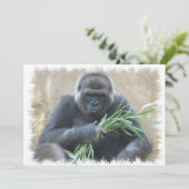 Silverback Gorilla Einladung (Stehend Vorderseite)