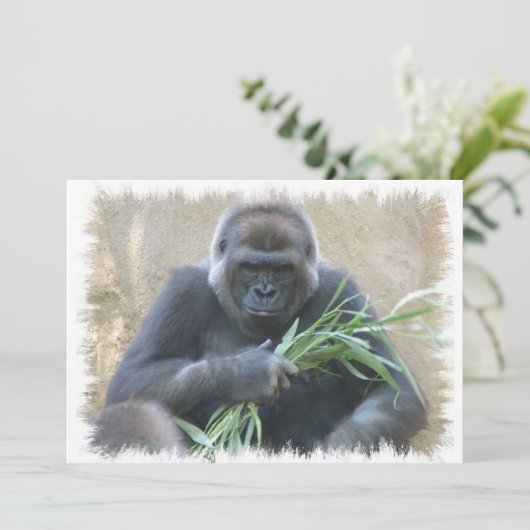 Silverback Gorilla Einladung (Stehend Vorderseite)