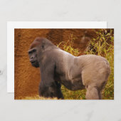 Silverback-Gorilla-Foto-Einladung Einladung (Vorne/Hinten)