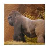 Silverback-Gorilla-Foto-Fliese Fliese (Vorderseite)