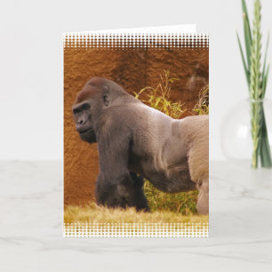 Silverback Gorilla Foto Grußkarte Karte