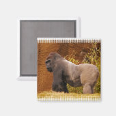 Silverback Gorilla Foto Magnet (Vorderseite/Rückseite)