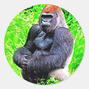 Silverback-Gorilla-Foto-Malerei Runder Aufkleber