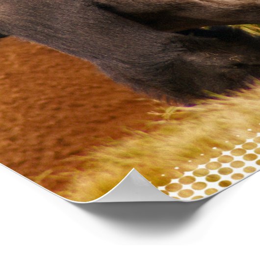 Silverback Gorilla Foto Print Poster (Ecke)